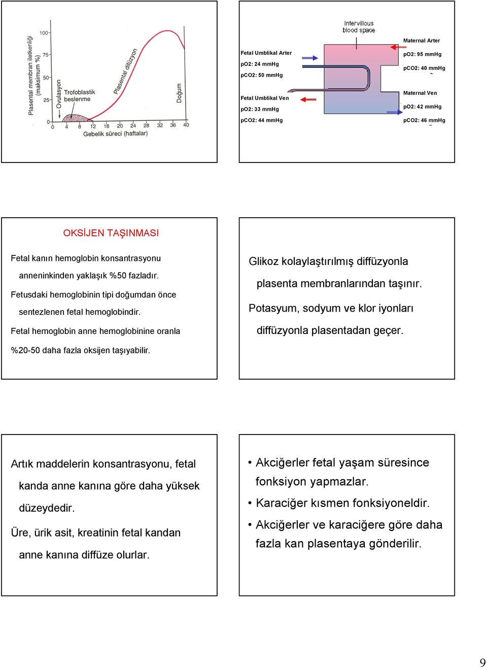 Fetal hemoglobin anne hemoglobinine oranla Glikoz kolaylaştırılmış diffüzyonla plasenta membranlarından taşınır. Potasyum, sodyum ve klor iyonları diffüzyonla plasentadan geçer.