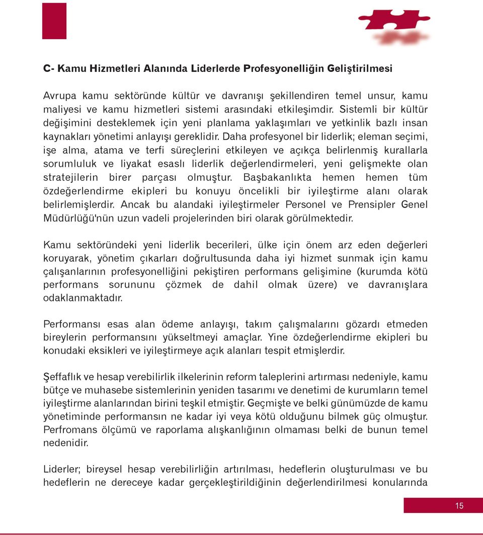 Daha profesyonel bir liderlik; eleman seçimi, iþe alma, atama ve terfi süreçlerini etkileyen ve açýkça belirlenmiþ kurallarla sorumluluk ve liyakat esaslý liderlik deðerlendirmeleri, yeni geliþmekte