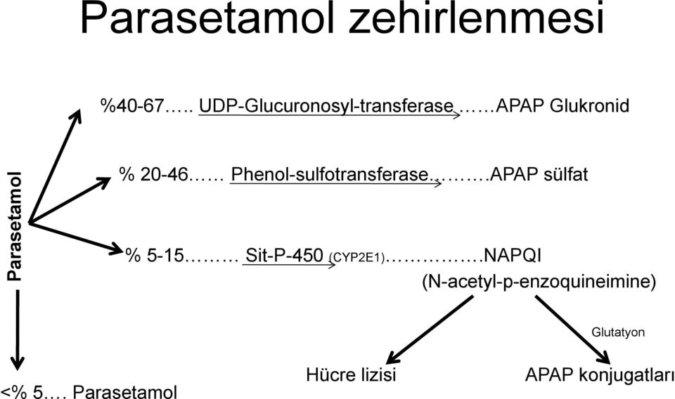 20-46 Phenol-sulfotransferase.