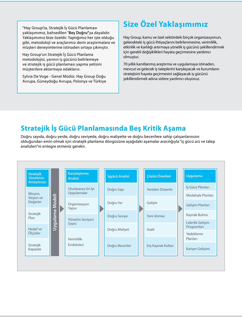 Hay Group un Stratejik İş Gücü Planlama metodolojisi, yarının iş gücünü belirlemeye ve stratejik iş gücü planlaması yapma yetisini müşterilere aktarmaya odaklanır.