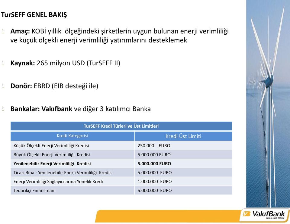 Ölçekli Enerji Verimliliği Kredisi 250.000 EURO Büyük Ölçekli Enerji Verimliliği Kredisi 5.000.000 EURO Yenilenebilir Enerji Verimliliği Kredisi 5.000.000 EURO Ticari Bina - Yenilenebilir Enerji Verimliliği Kredisi 5.