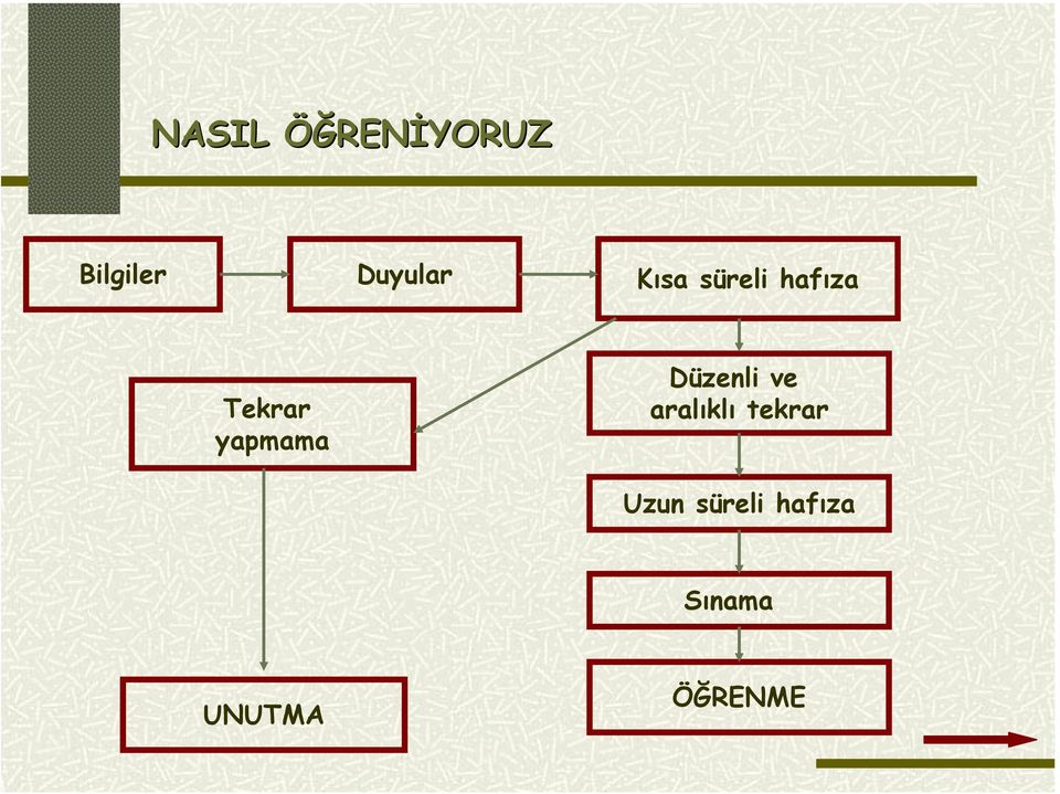 yapmama Düzenli ve aralıklı