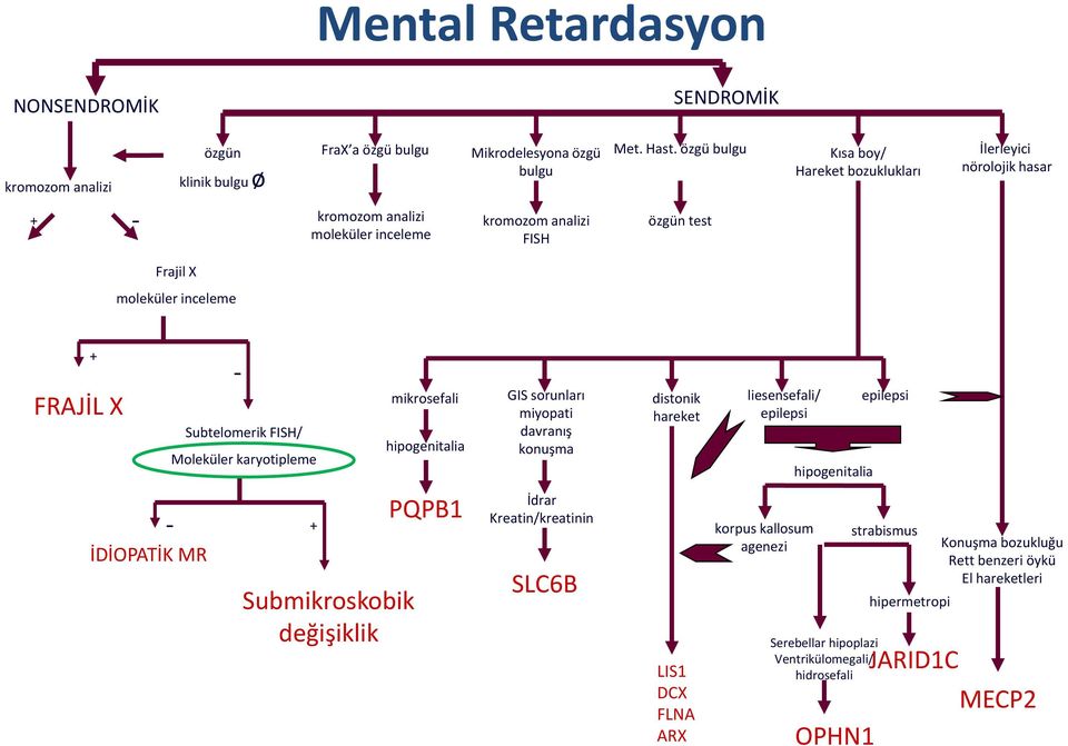 hipogenitalia GIS sorunları miyopati davranış konuşma distonik hareket liesensefali/ epilepsi hipogenitalia epilepsi İDİOPATİK MR + Submikroskobik değişiklik PQPB1 İdrar Kreatin/kreatinin