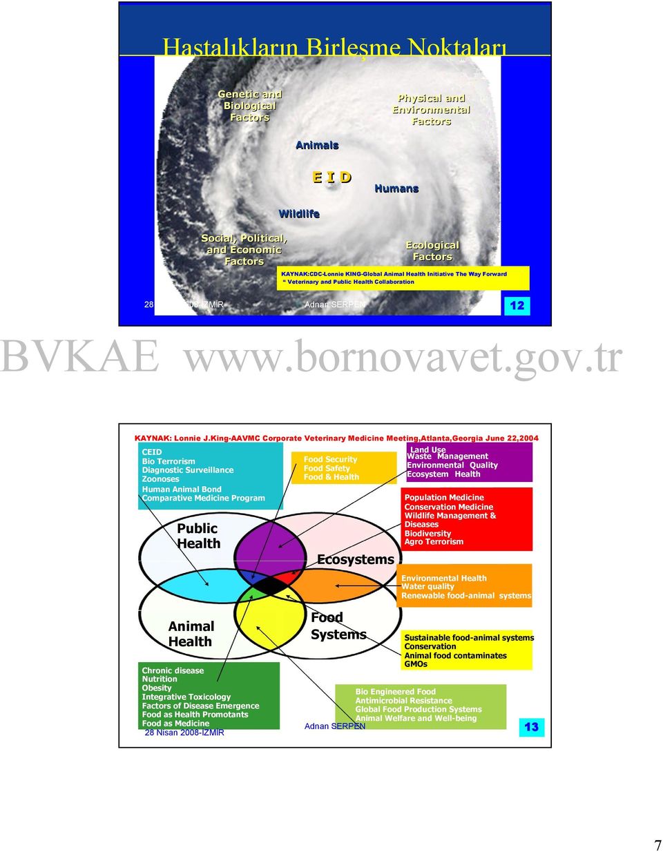 King-AAVMC Corporate Veterinary Medicine Meeting,Atlanta,Georgia June 22,2004 CEID Bio Terrorism Diagnostic Surveillance Zoonoses Human Animal Bond Comparative Medicine Program Food Security Food