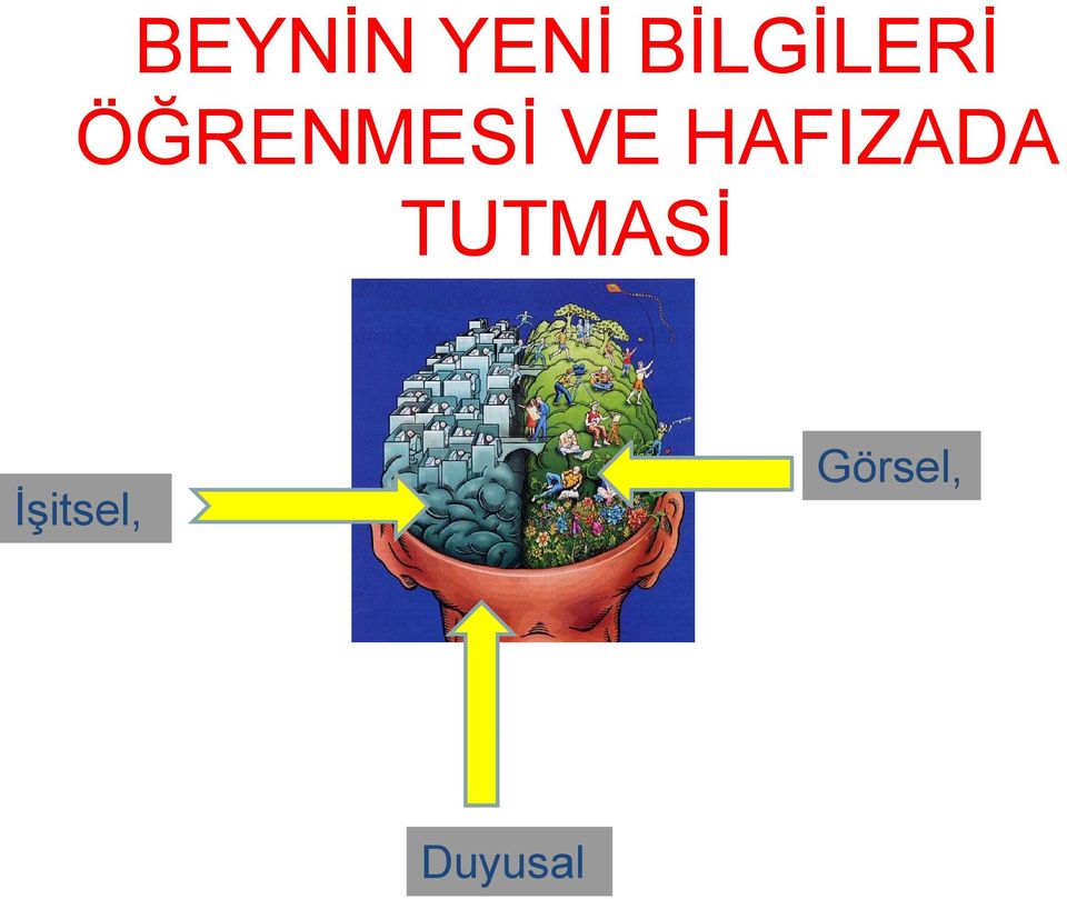 ÖĞRENMESİ VE