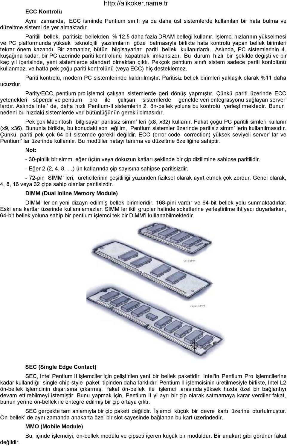 Bir zamanlar, bütün bilgisayarlar pariti bellek kullanırlardı. Aslında, PC sistemlerinin 4. kuşağına kadar, bir PC üzerinde pariti kontrolünü kapatmak imkansızdı.