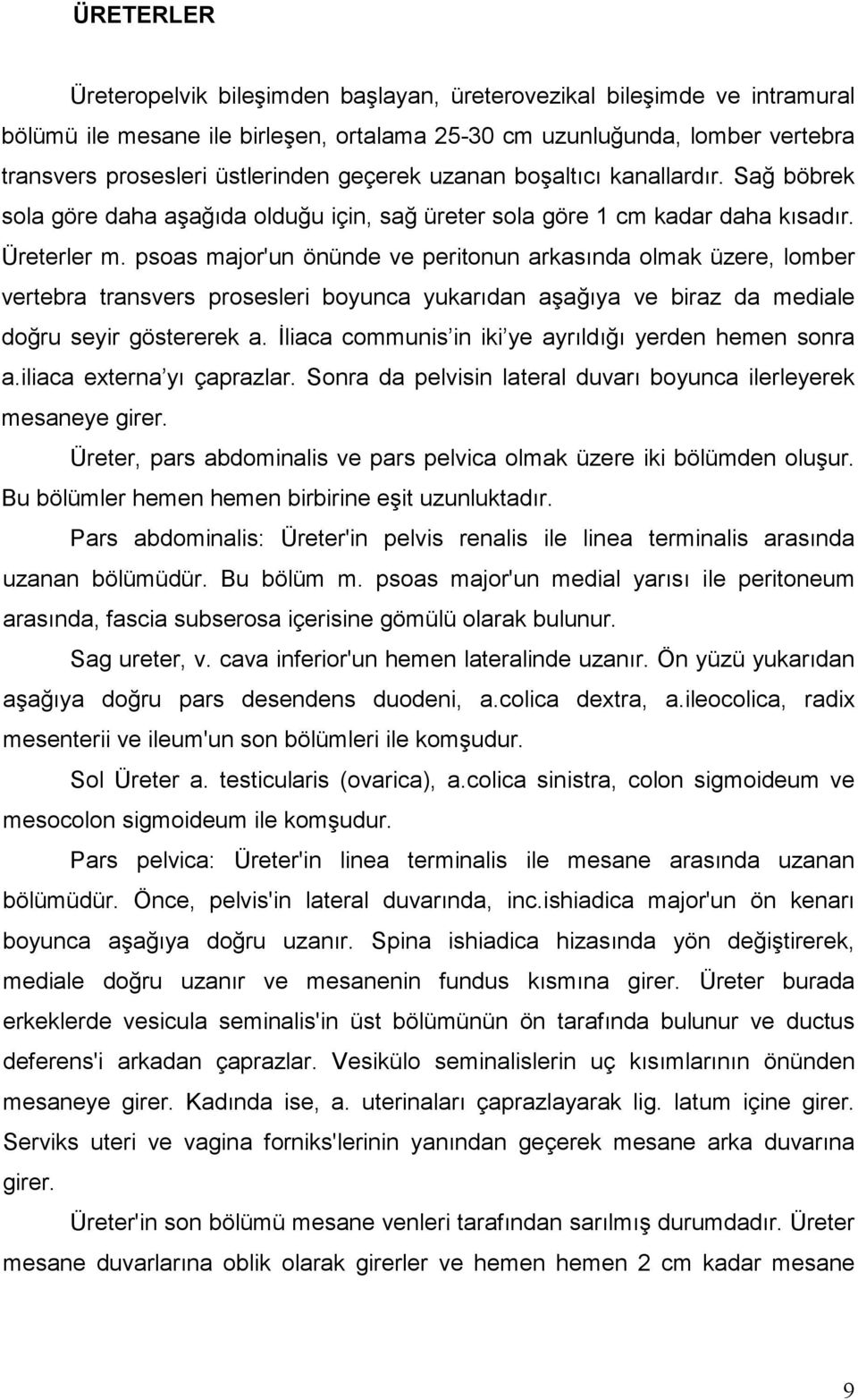 psoas major'un önünde ve peritonun arkasında olmak üzere, lomber vertebra transvers prosesleri boyunca yukarıdan aşağıya ve biraz da mediale doğru seyir göstererek a.