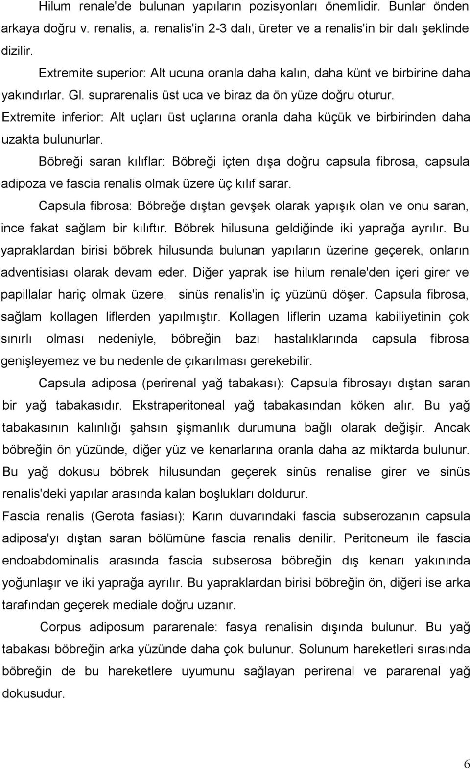 Extremite inferior: Alt uçları üst uçlarına oranla daha küçük ve birbirinden daha uzakta bulunurlar.