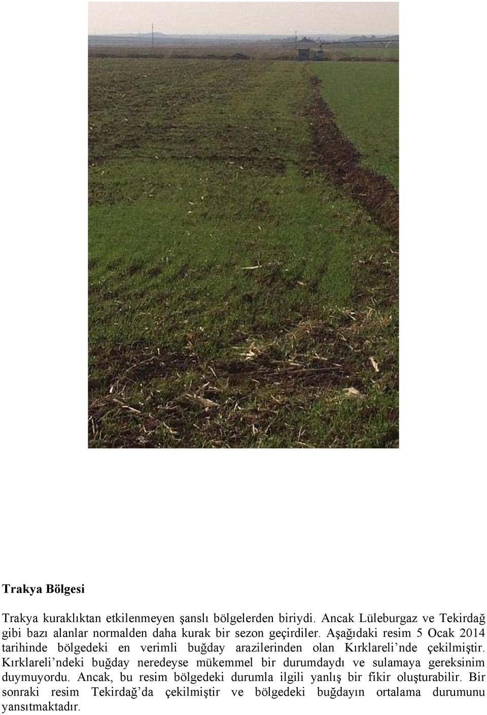 Aşağıdaki resim 5 Ocak 2014 tarihinde bölgedeki en verimli buğday arazilerinden olan Kırklareli nde çekilmiştir.