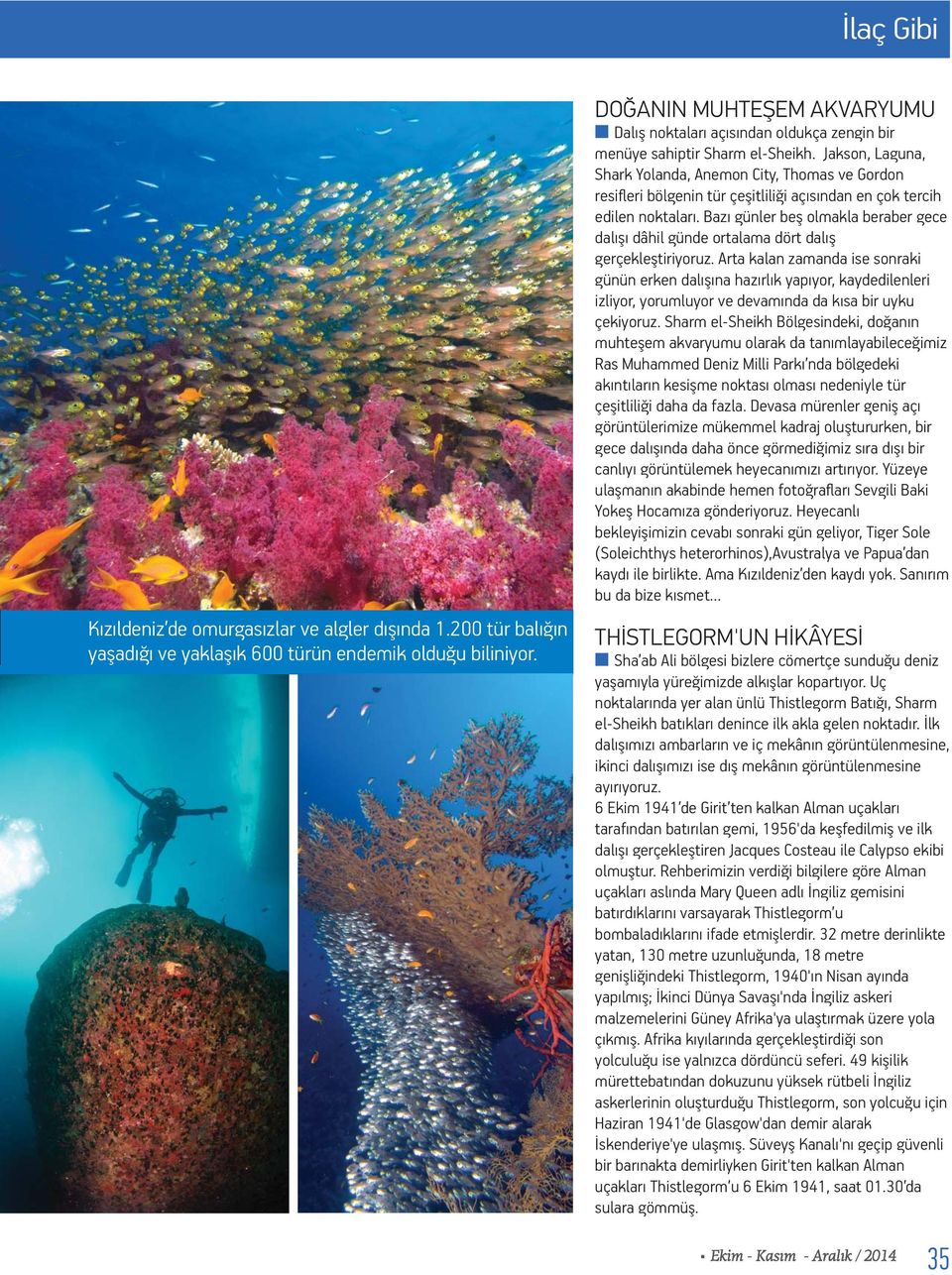 Jakson, Laguna, Shark Yolanda, Anemon City, Thomas ve Gordon resifleri bölgenin tür çeşitliliği açısından en çok tercih edilen noktaları.