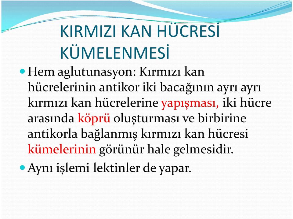 hücre arasında köprü oluşturması ve birbirine antikorla bağlanmış kırmızı