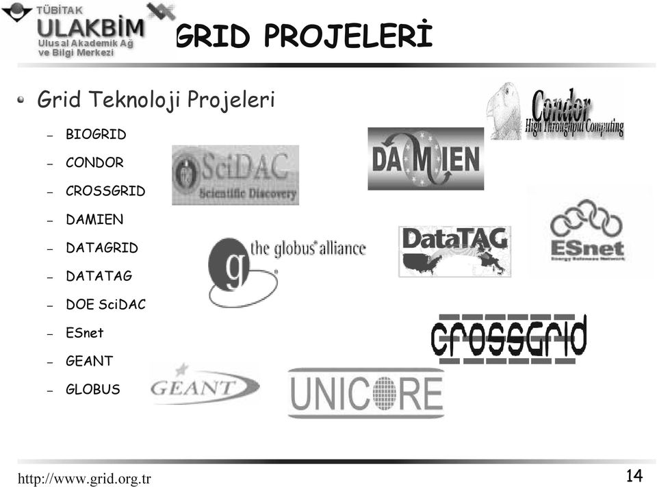 DAMIEN DATAGRID DATATAG DOE