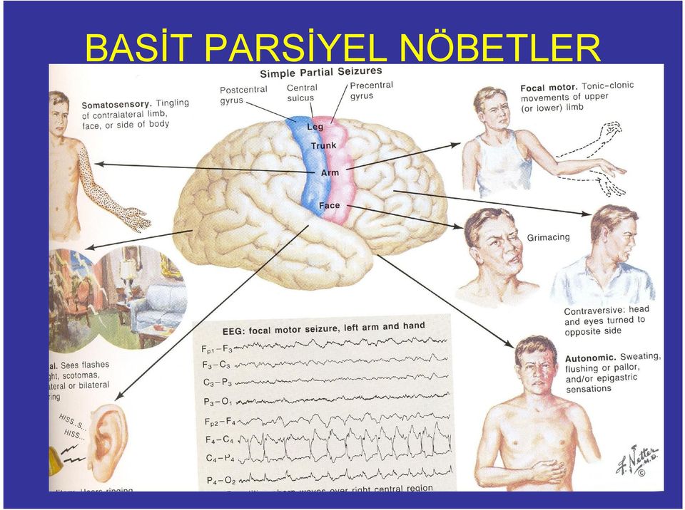 NÖBETLER