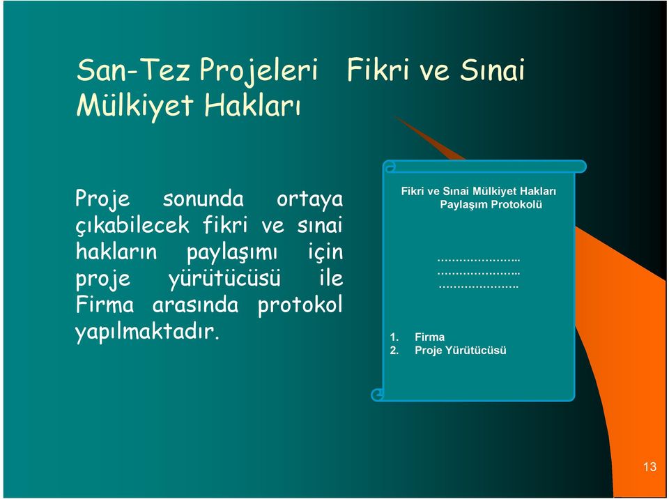 yürütücüsü ile Firma arasında protokol yapılmaktadır.