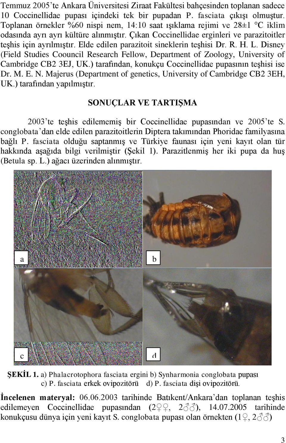 Elde edilen parazitoit sineklerin teşhisi Dr. R. H. L. Disney (Field Studies Coouncil Research Fellow, Department of Zoology, University of Cambridge CB2 3EJ, UK.