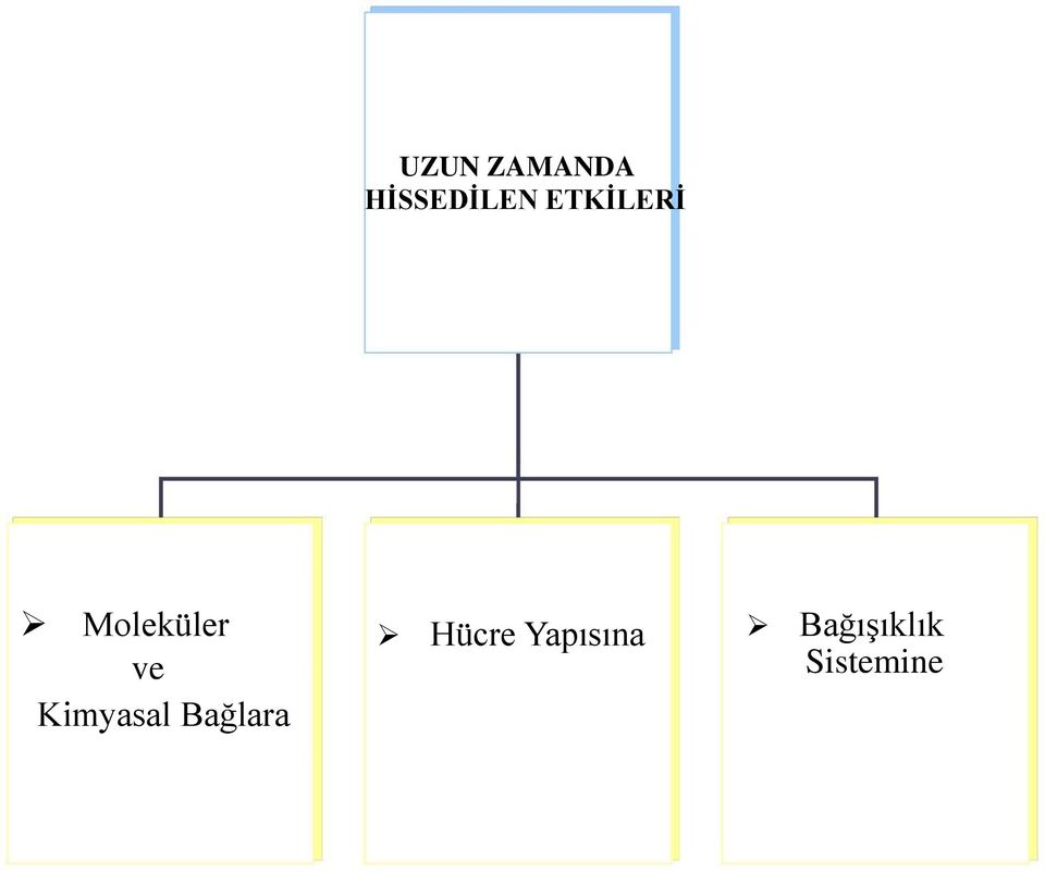 Kimyasal Bağlara Hücre