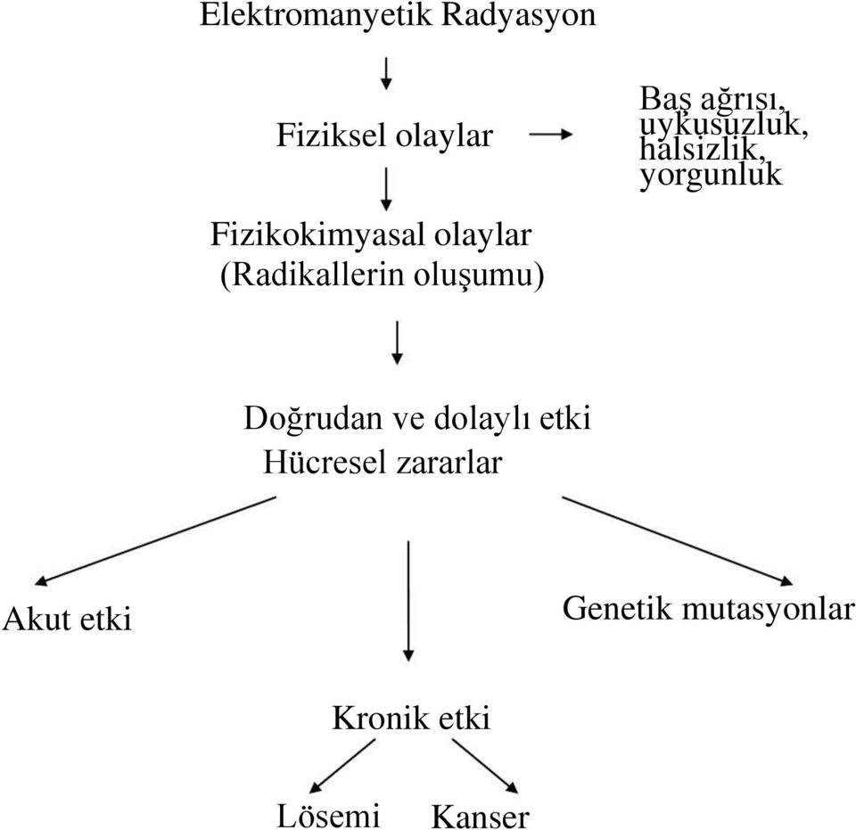 halsizlik, yorgunluk Doğrudan ve dolaylı etki Hücresel