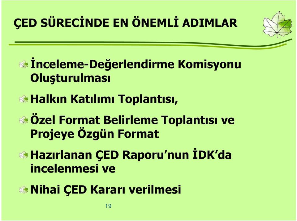 Format Belirleme Toplantısı ve Projeye Özgün Format