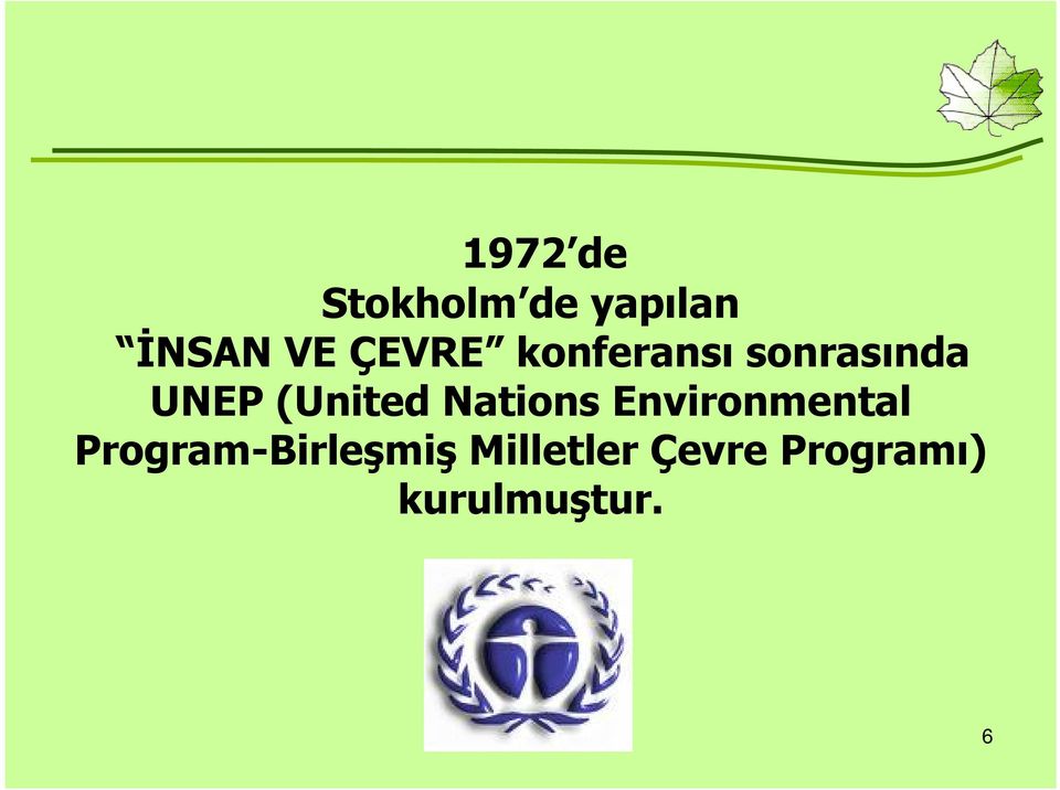 (United Nations Environmental