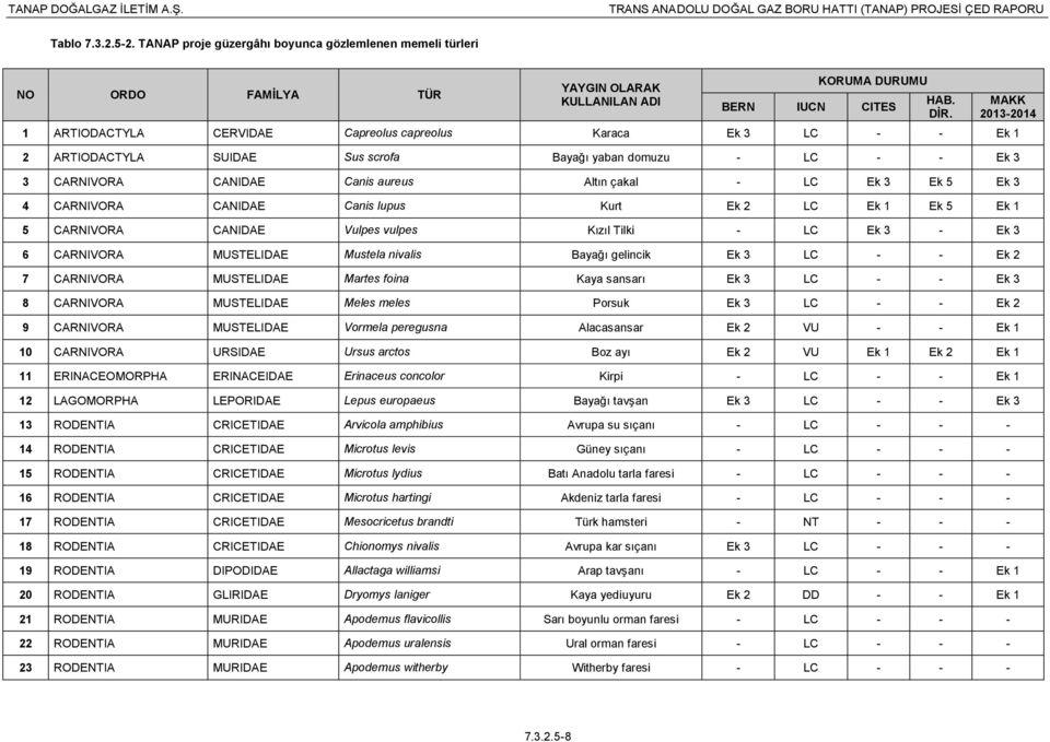 ARTIODACTYLA SUIDAE Sus scrofa Bayağı yaban domuzu - LC - - Ek 3 3 CARNIVORA CANIDAE Canis aureus Altın çakal - LC Ek 3 Ek 5 Ek 3 4 CARNIVORA CANIDAE Canis lupus Kurt Ek 2 LC Ek 1 Ek 5 Ek 1 5