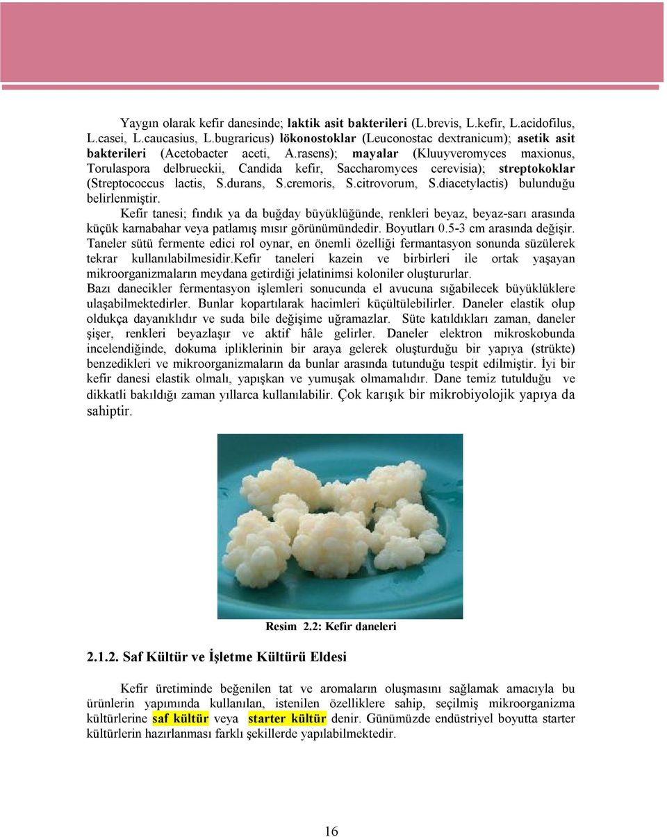 rasens); mayalar (Kluuyveromyces maxionus, Torulaspora delbrueckii, Candida kefir, Saccharomyces cerevisia); streptokoklar (Streptococcus lactis, S.durans, S.cremoris, S.citrovorum, S.