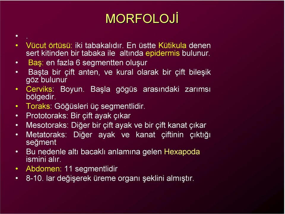 Başla gögüs arasındaki zarımsı bölgedir. Toraks: Göğüsleri üç segmentlidir.