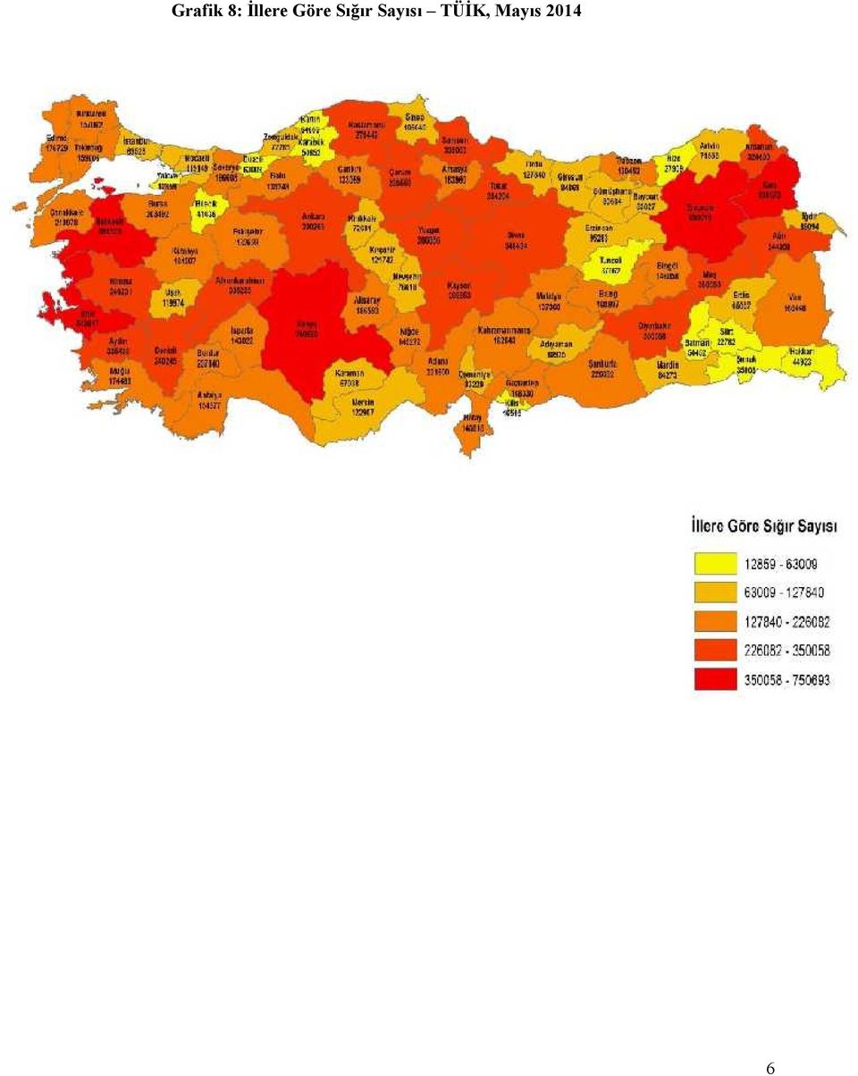 Sığır Sayısı