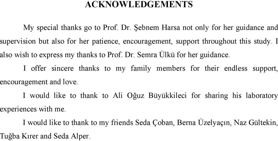 I also wish to express my thanks to Prof. Dr. Semra Ülkü for her guidance.