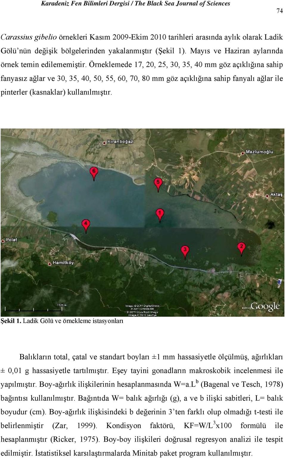 Ladik Gölü ve örnekleme istasyonları Balıkların total, çatal ve standart boyları ±1 mm hassasiyetle ölçülmüş, ağırlıkları ± 0,01 g hassasiyetle tartılmıştır.