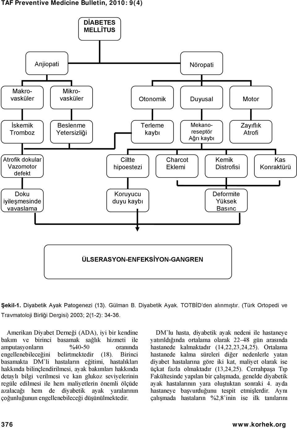 Diyabetik Ayak Patogenezi (13). Gülman B. Diyabetik Ayak. TOTBİD den alınmıştır. (Türk Ortopedi ve Travmatoloji Birliği Dergisi) 2003; 2(1-2): 34-36.