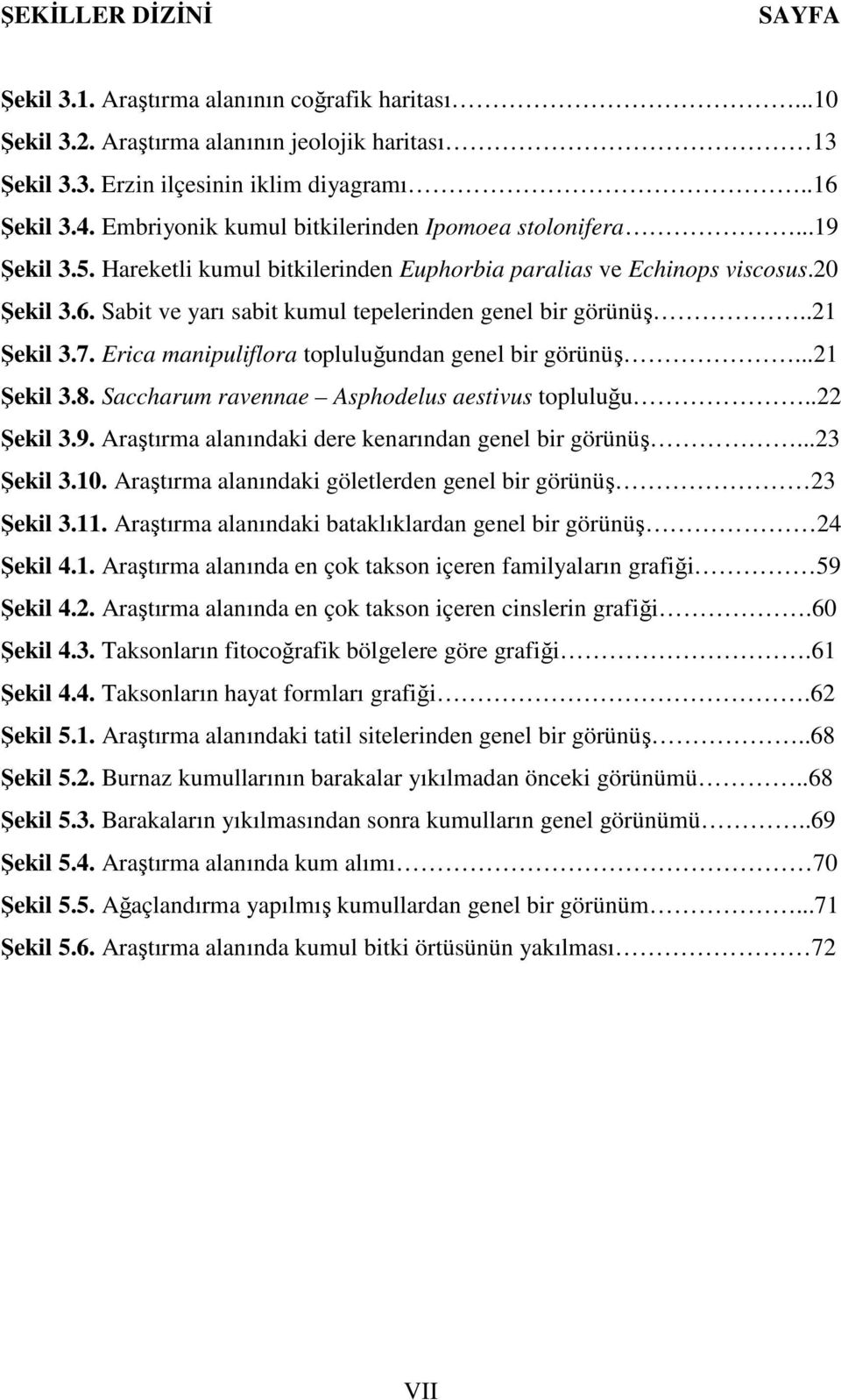 Sabit ve yarı sabit kumul tepelerinden genel bir görünüş..21 Şekil 3.7. Erica manipuliflora topluluğundan genel bir görünüş...21 Şekil 3.8. Saccharum ravennae Asphodelus aestivus topluluğu..22 Şekil 3.