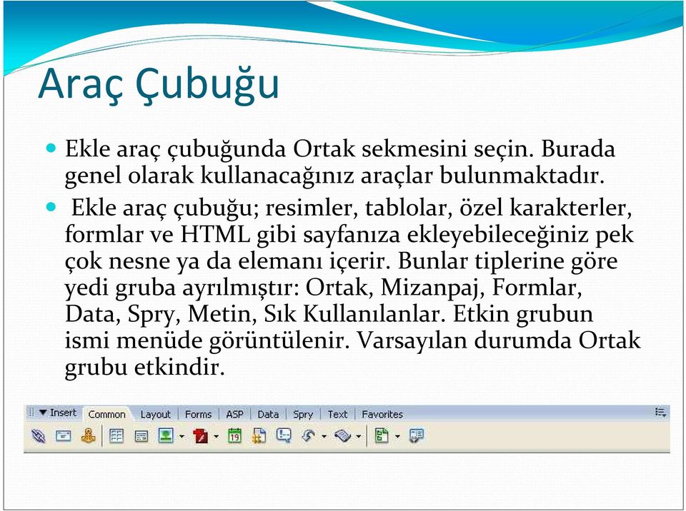 Ekle araç çubuğu; resimler, tablolar, özel karakterler, formlar ve HTML gibi sayfanıza ekleyebileceğiniz pek