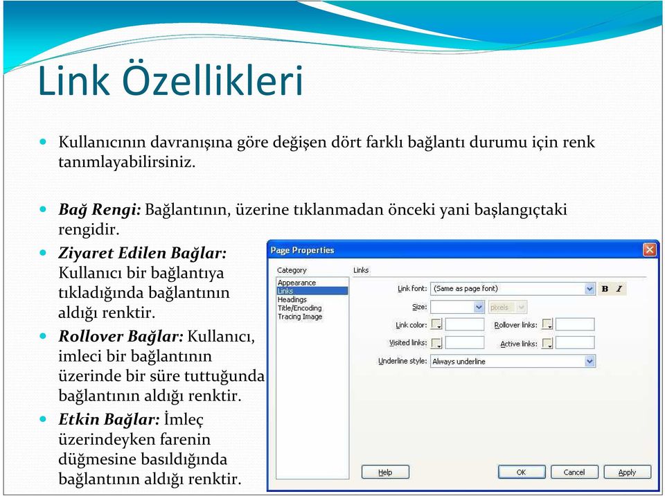 Ziyaret Edilen Bağlar: Kullanıcı bir bağlantıya tıkladığında bağlantının aldığı renktir.