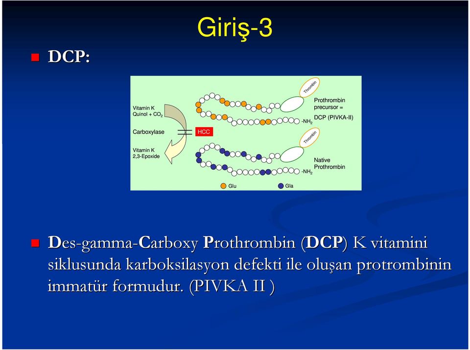 Prothrombin -NH 2 Glu Gla Des-gamma-Carboxyarboxy Prothrombin (DCP) K
