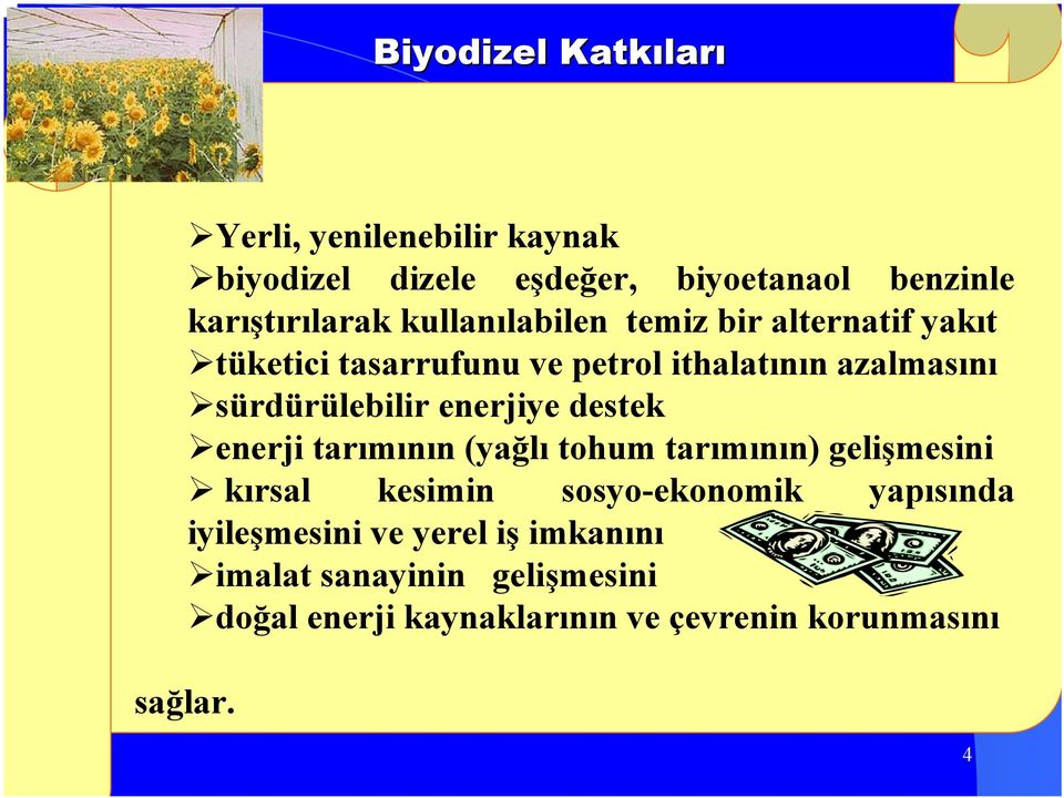 enerjiye destek enerji tarımının (yağlı tohum tarımının) gelişmesini kırsal kesimin sosyo-ekonomik yapısında