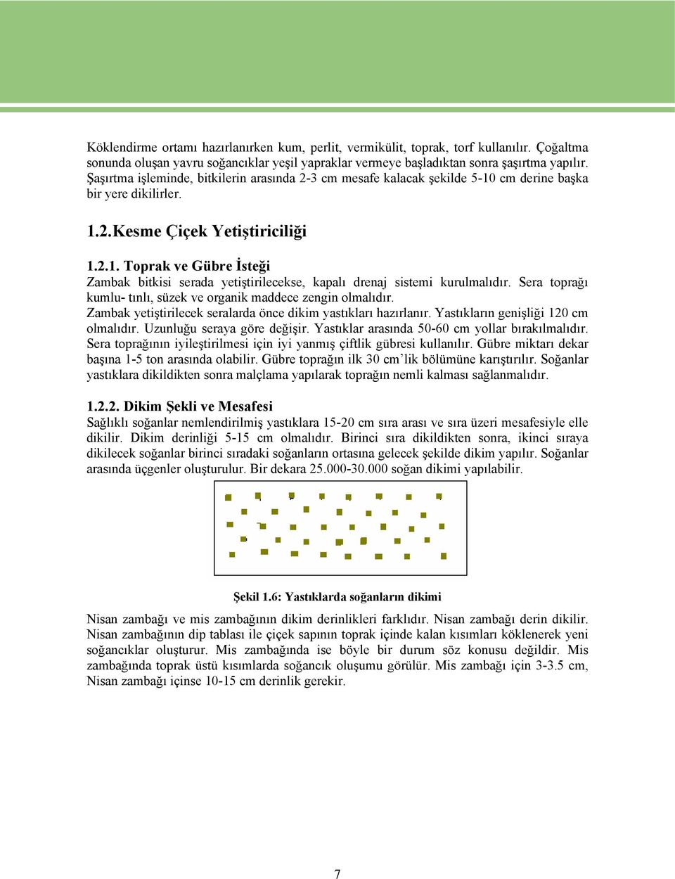 Sera toprağı kumlu- tınlı, süzek ve organik maddece zengin olmalıdır. Zambak yetiştirilecek seralarda önce dikim yastıkları hazırlanır. Yastıkların genişliği 120 cm olmalıdır.