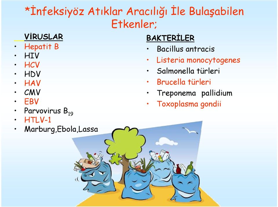 Marburg,Ebola,Lassa BAKTERİLER Bacillus antracis Listeria