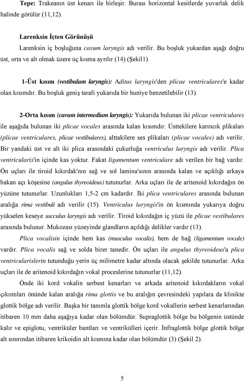 Bu boşluk geniş tarafı yukarıda bir huniye benzetilebilir (13).