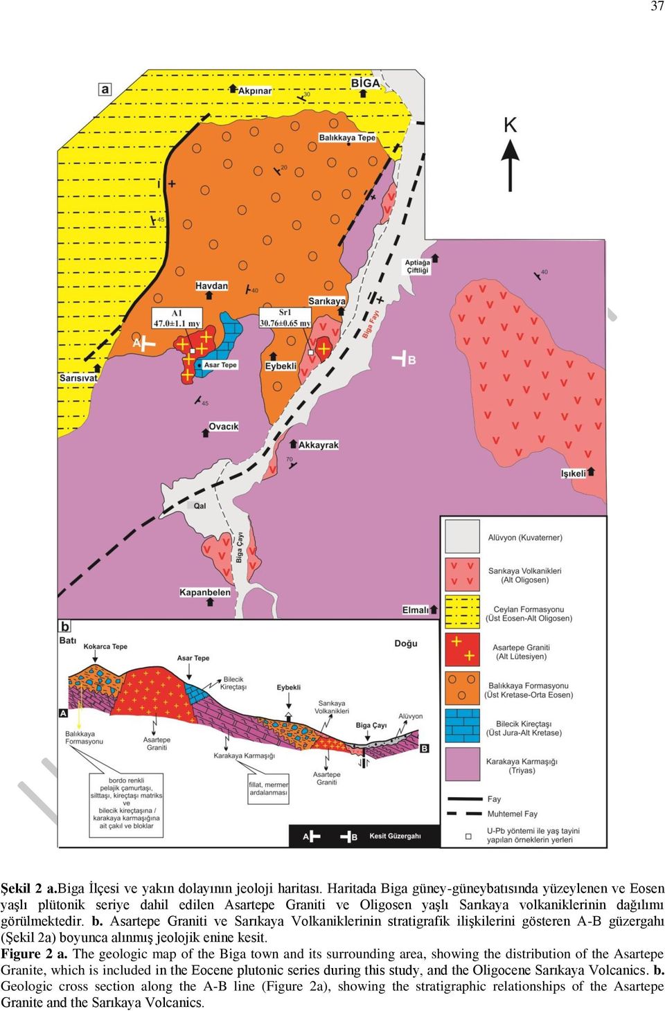 Asartepe Graniti ve Sarıkaya Volkaniklerinin stratigrafik ilişkilerini gösteren A-B güzergahı (Şekil 2a) boyunca alınmış jeolojik enine kesit. Figure 2 a.