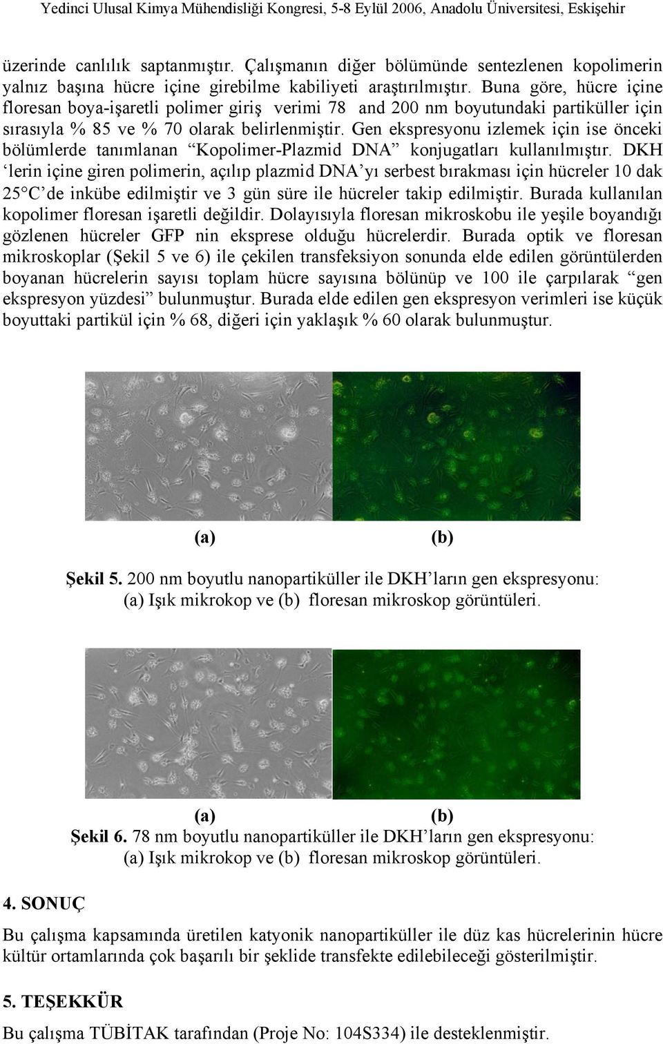 Gen ekspresyonu izlemek için ise önceki bölümlerde tanımlanan Kopolimer-Plazmid DNA konjugatları kullanılmıştır.