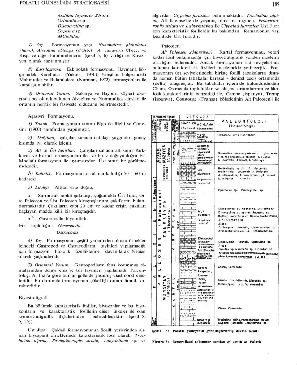 Eskipolatlı formasyonu, Haymana bölgesindeki Karahoca (Yüksel, 1970), Yahşihan bölgesindeki Mahmutlar ve Bulanıkdere (Norman, 1972) formasyonları ile karşılaştınlabilir. 9) Ortamsal Yorum.