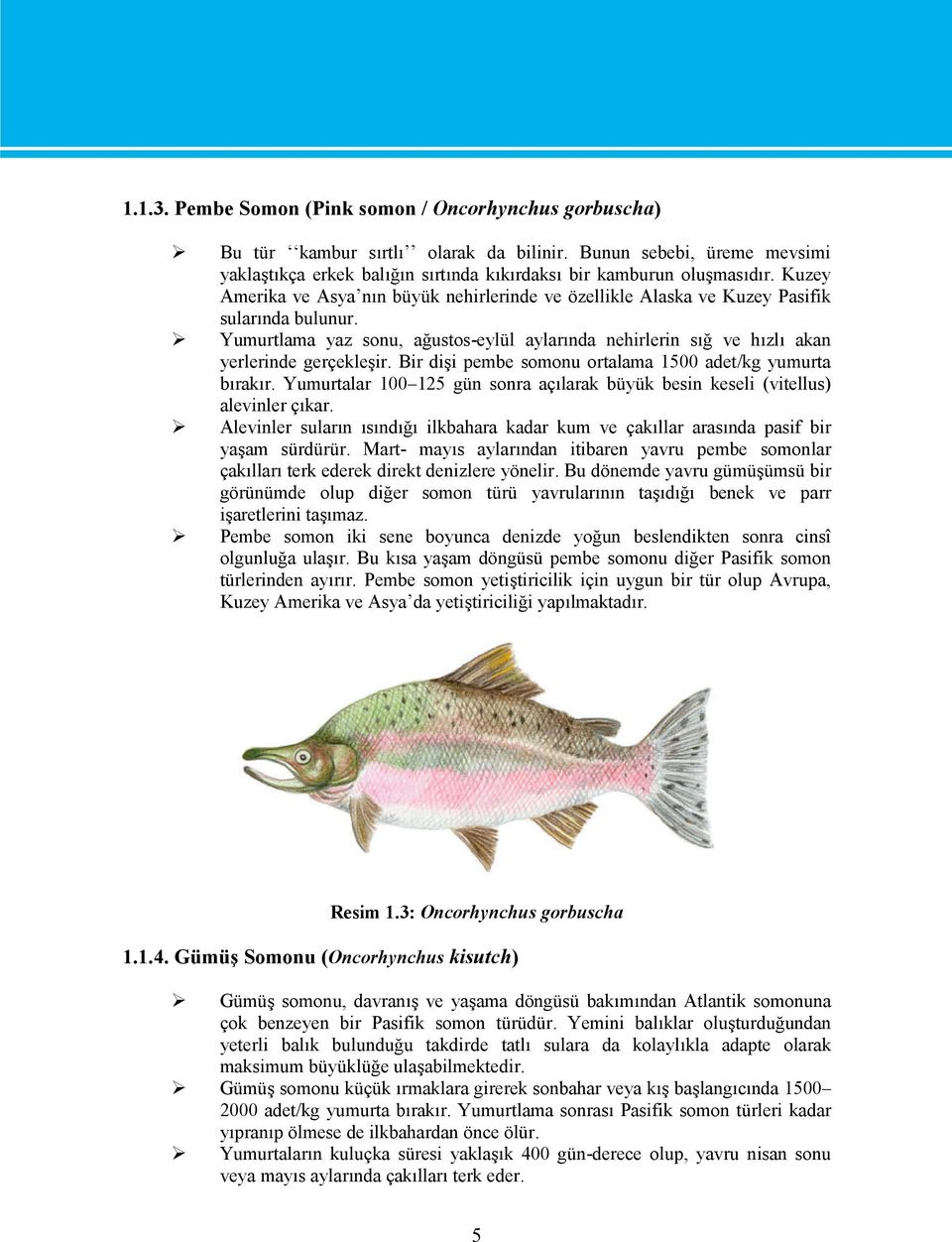 Bir dişi pembe somonu ortalama 1500 adet/kg yumurta bırakır. Yumurtalar 100 125 gün sonra açılarak büyük besin keseli (vitellus) alevinler çıkar.