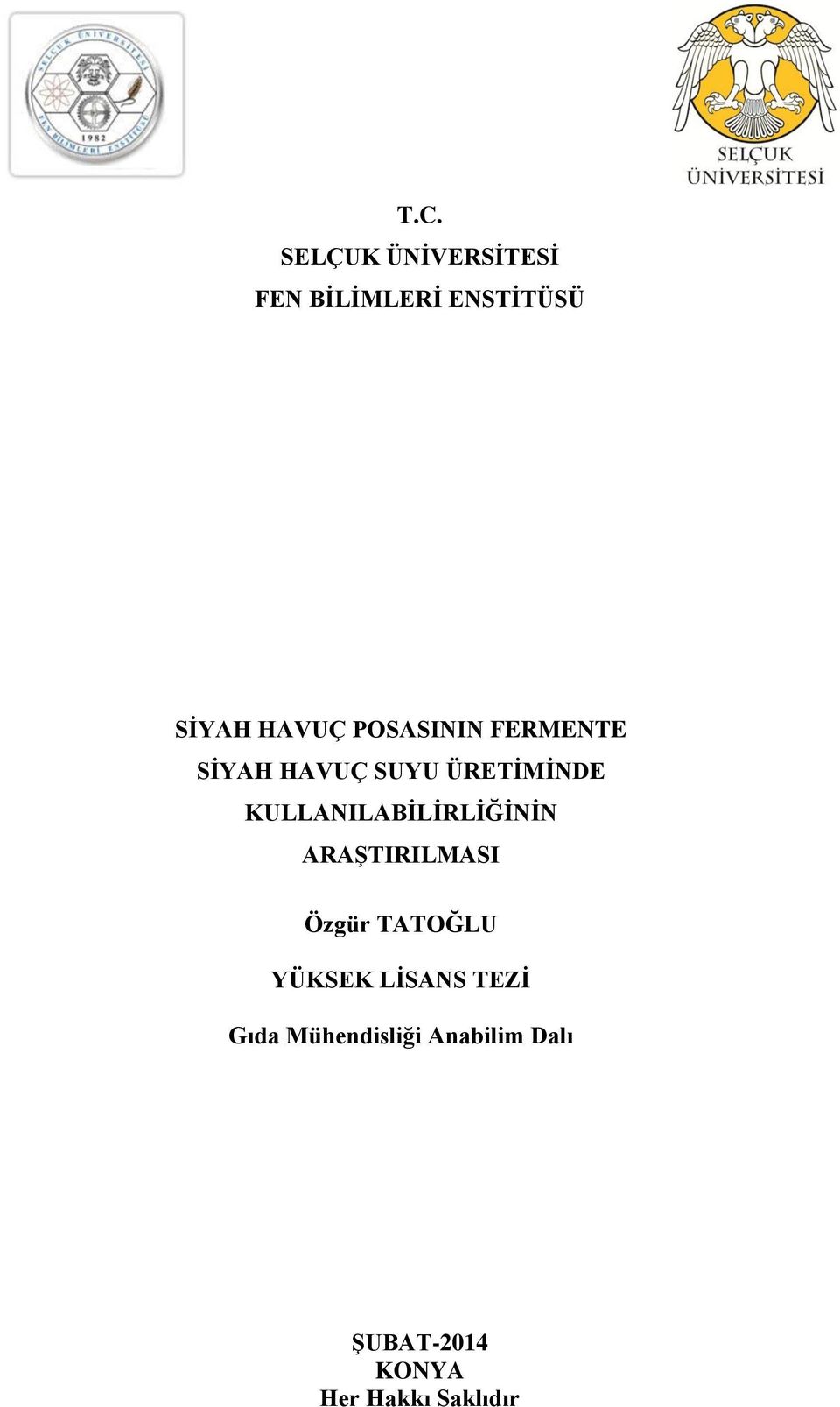 KULLANILABĠLĠRLĠĞĠNĠN ARAġTIRILMASI Özgür TATOĞLU YÜKSEK