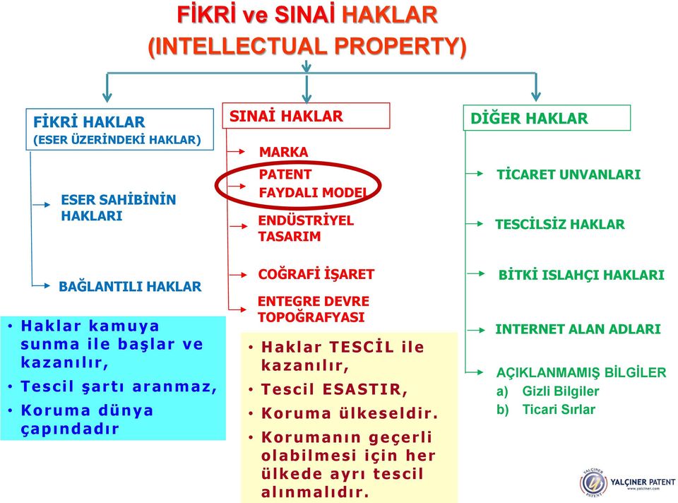 COĞRAFİ İŞARET ENTEGRE DEVRE TOPOĞRAFYASI H a k l a r TESCİL ile k a z a n ı l ı r, Tescil ESASTIR, K o r u m a ülkeseldir.