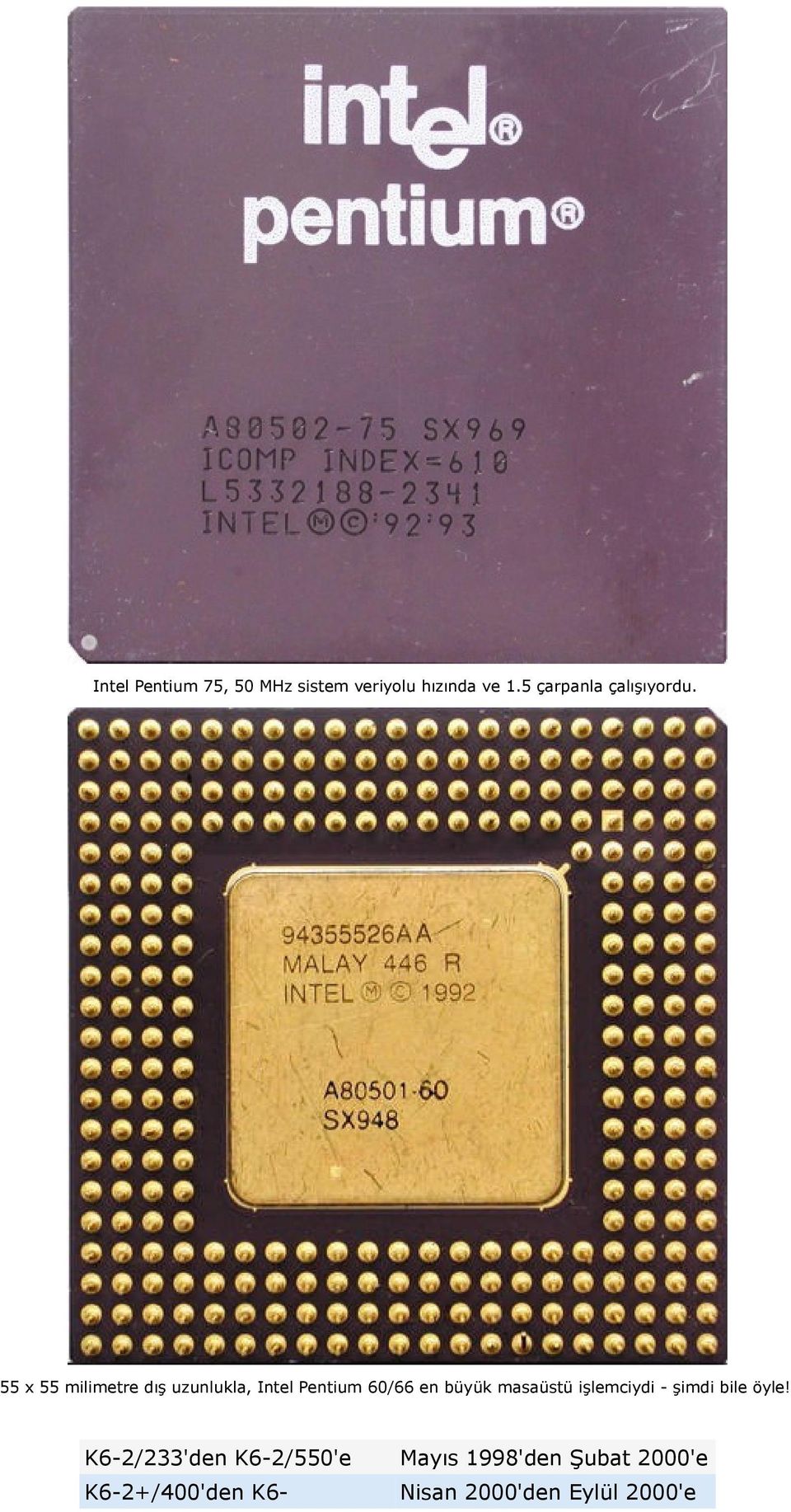 55 x 55 milimetre dış uzunlukla, Intel Pentium 60/66 en büyük
