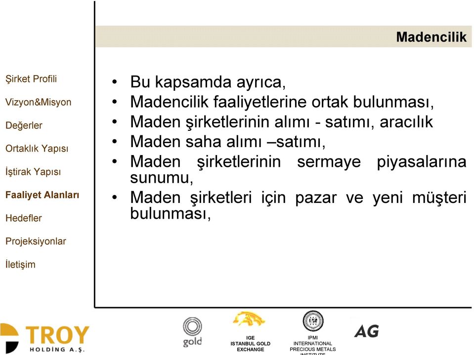 Maden saha alımı satımı, Maden şirketlerinin sermaye