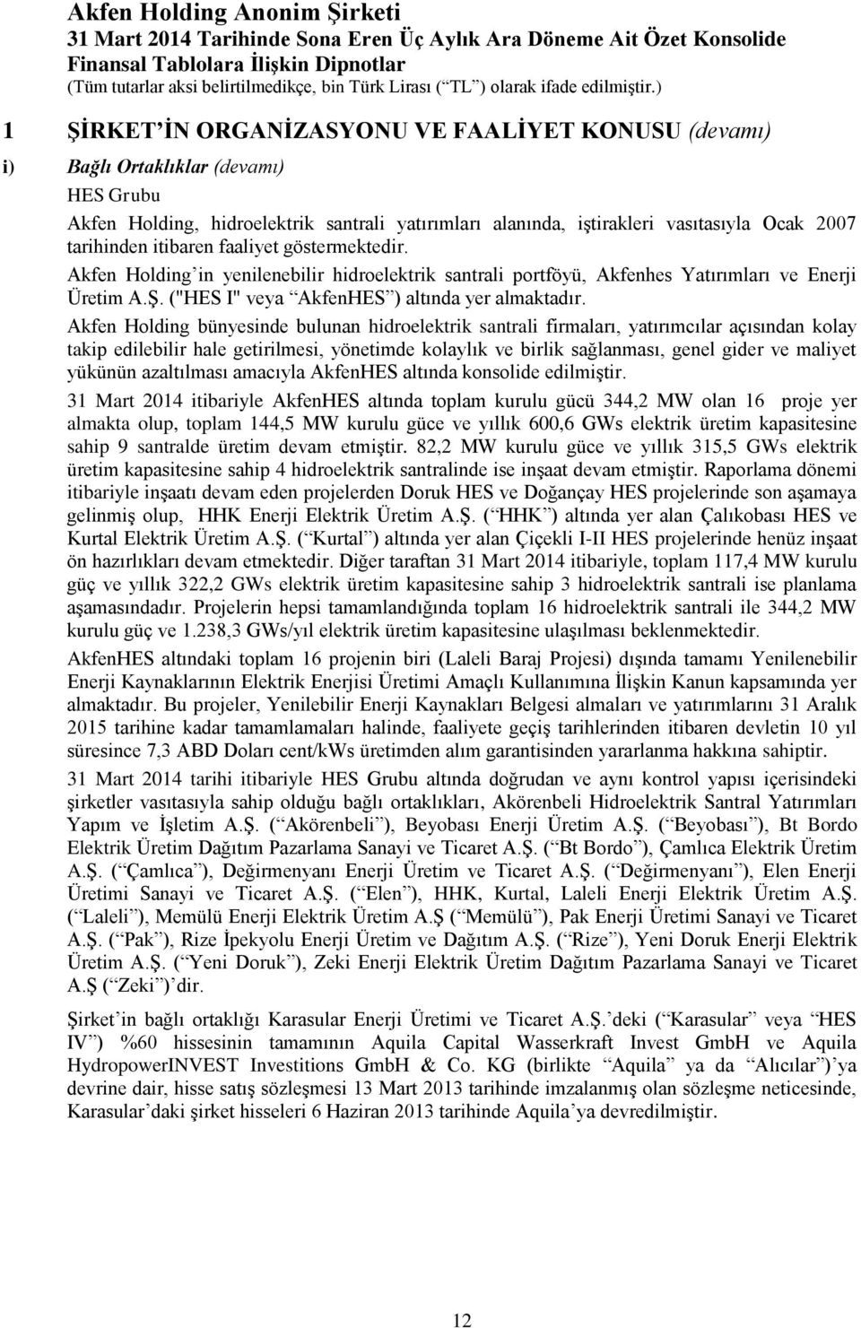 Akfen Holding bünyesinde bulunan hidroelektrik santrali firmaları, yatırımcılar açısından kolay takip edilebilir hale getirilmesi, yönetimde kolaylık ve birlik sağlanması, genel gider ve maliyet