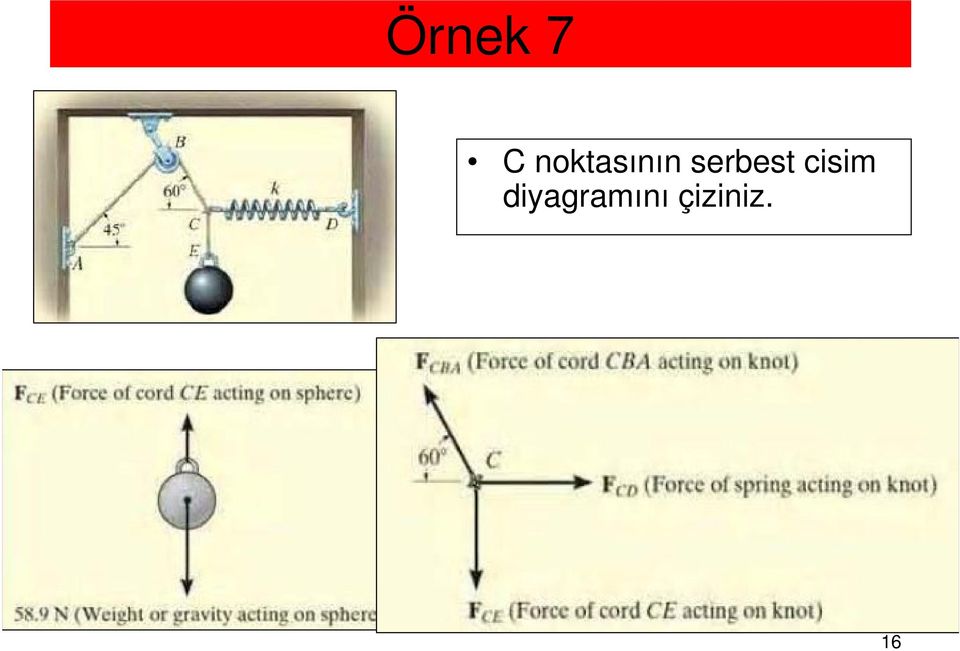 sebest cisim