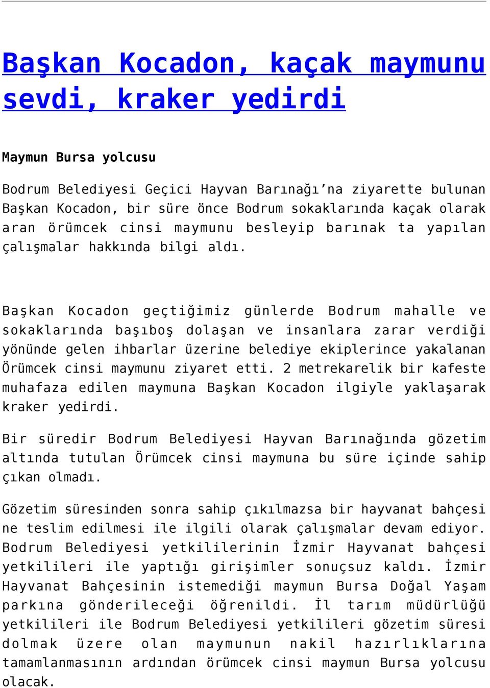 Başkan Kocadon geçtiğimiz günlerde Bodrum mahalle ve sokaklarında başıboş dolaşan ve insanlara zarar verdiği yönünde gelen ihbarlar üzerine belediye ekiplerince yakalanan Örümcek cinsi maymunu