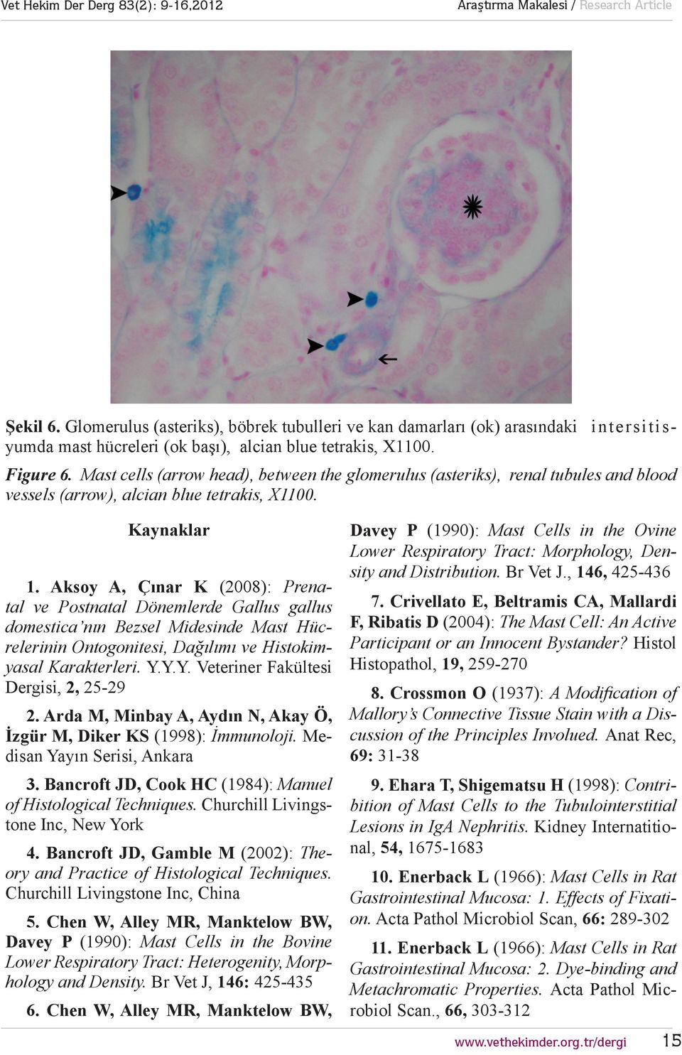 Aksoy A, Çınar K (2008): Prenatal ve Postnatal Dönemlerde Gallus gallus domestica nın Bezsel Midesinde Mast Hücrelerinin Ontogonitesi, Dağılımı ve Histokimyasal Karakterleri. Y.